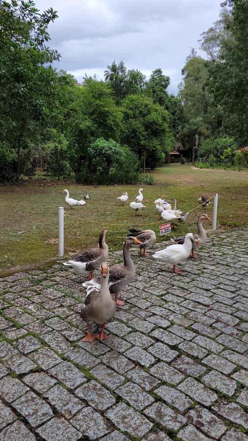 Poços de Caldas Condominio Resort Na Cidade Das Aguas Sulfurosas מראה חיצוני תמונה